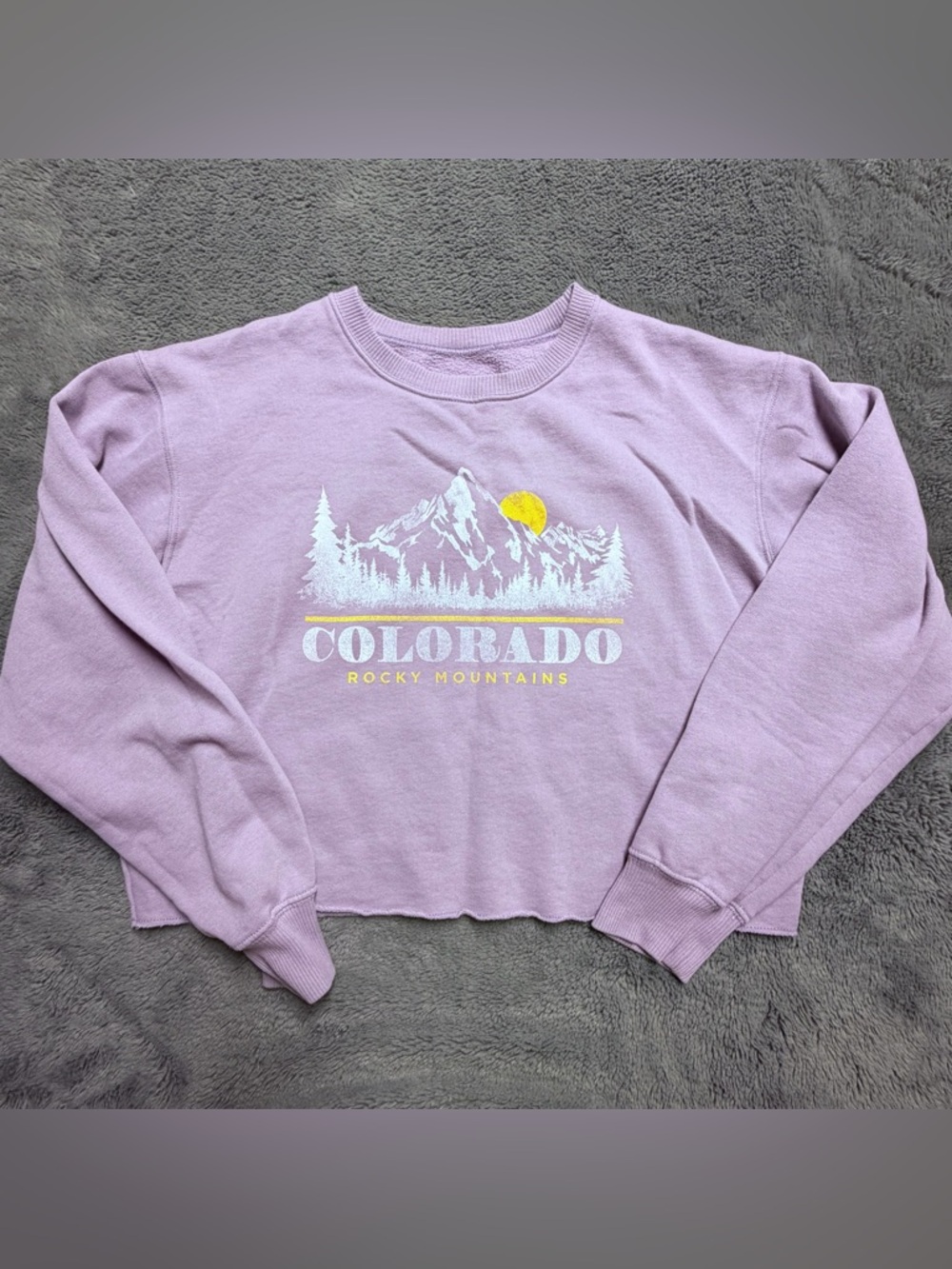 Hollister Lavender Colorado Rocky Mountains Crewneck CropTop